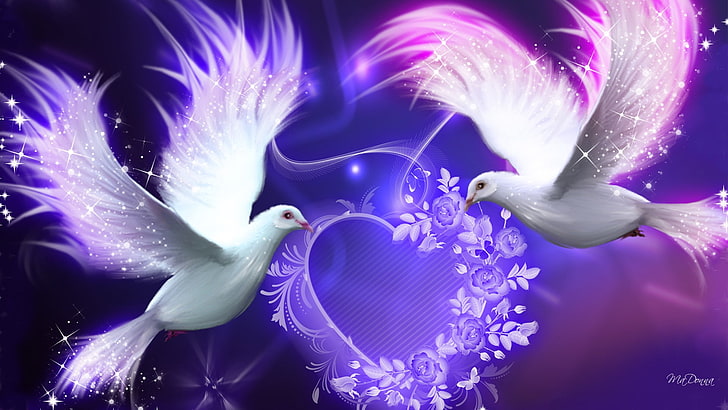 鳥明るいバレンタイン紫鳩動物鳥HDアート、愛、鳩、明るい、心、鳥、ラベンダー、 HDデスクトップの壁紙