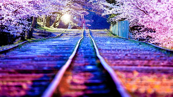 自然、花、春、植物、花、木、枝、桜、空、トンネル、愛のトンネル、河内富士庭園、北九州、日本、アジア、 HDデスクトップの壁紙 HD wallpaper