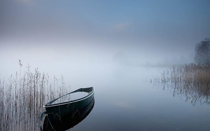 Barco a remo lago nevoeiro névoa HD, canoa cinza, natureza, lago, nevoeiro, névoa, barco, barco a remo, HD papel de parede