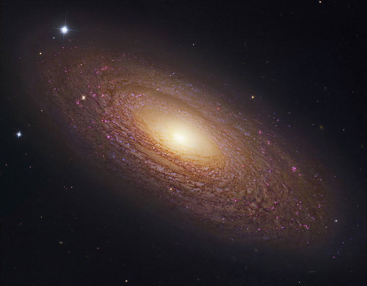 space, galaxy, ngc 6503, HD wallpaper