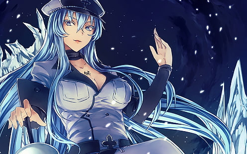 파란 머리 여성 애니메이션 캐릭터 벽지, Esdeath, 애니메이션, 애니메이션 소녀들, Akame ga Kill!, HD 배경 화면 HD wallpaper