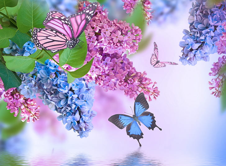 Flores, lilás, flor azul, borboleta, flor, flor cor-de-rosa, primavera, HD papel de parede