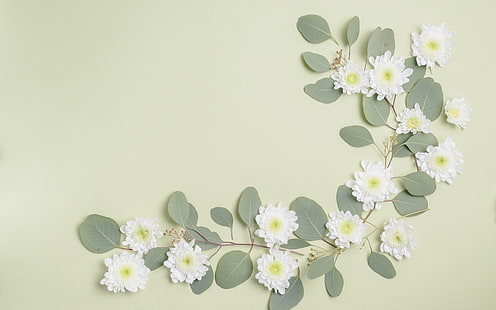 สุขสันต์วัน!, สีเขียว, กรอบ, ดอกไม้, สีขาว, การ์ด, วอลล์เปเปอร์ HD HD wallpaper