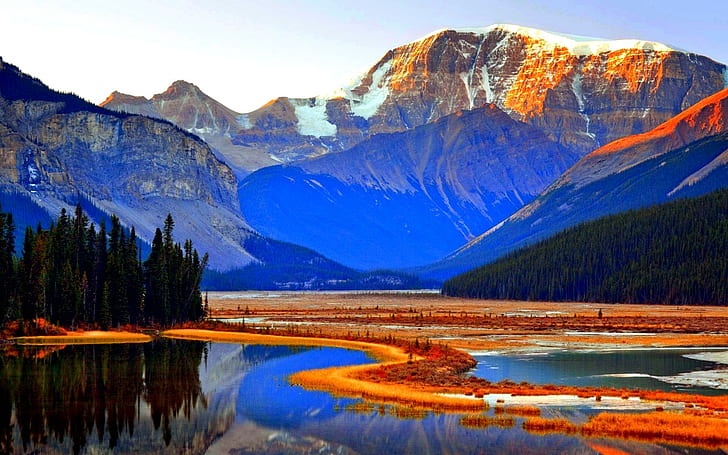 Jasper National Park,alberta,canada, trees, alberta, national park, jasper, mountains, river, canada, animals, HD wallpaper