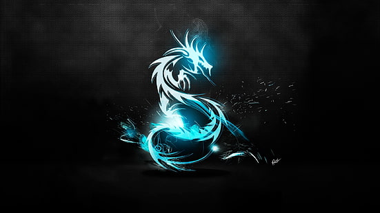 astratto draghi blu loghi drago blu e sfondo nero 2560x1440 Art Black HD Arte, blu, astratto, Sfondo HD HD wallpaper