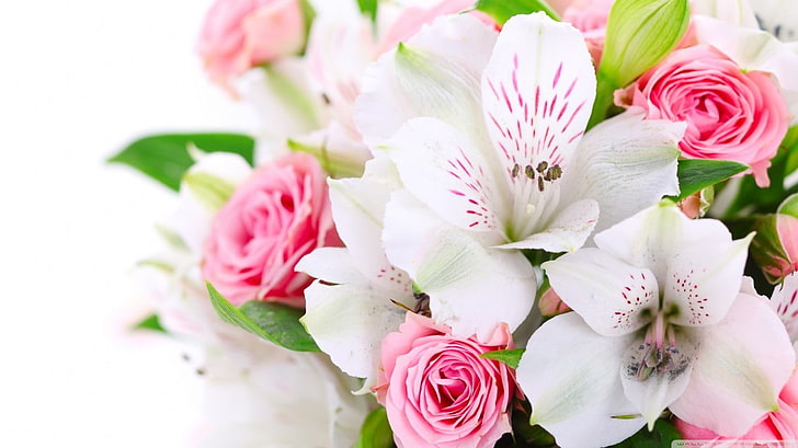 bouquet di fiori bianchi e rosa, mazzi di fiori, gigli, fiori, Sfondo HD
