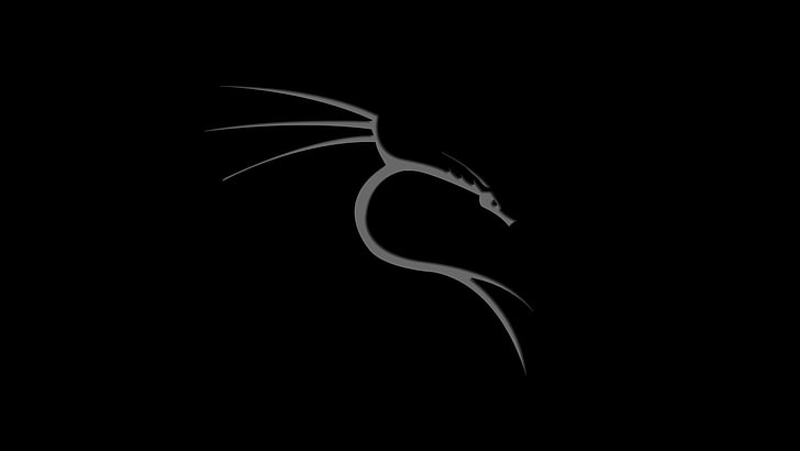 logotipo do dragão branco, Linux, Kali Linux NetHunter, Photoshop, dragão, HD papel de parede