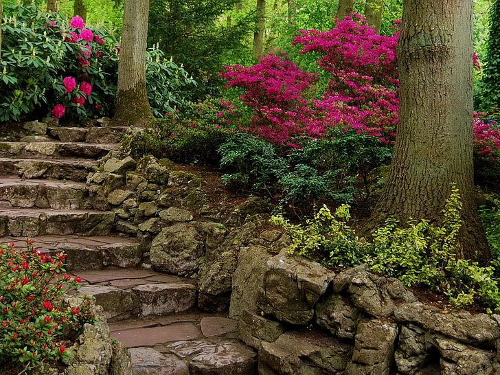 коричневое и зеленое дерево камуфляж, сад, лестница, цветы, растения, HD обои