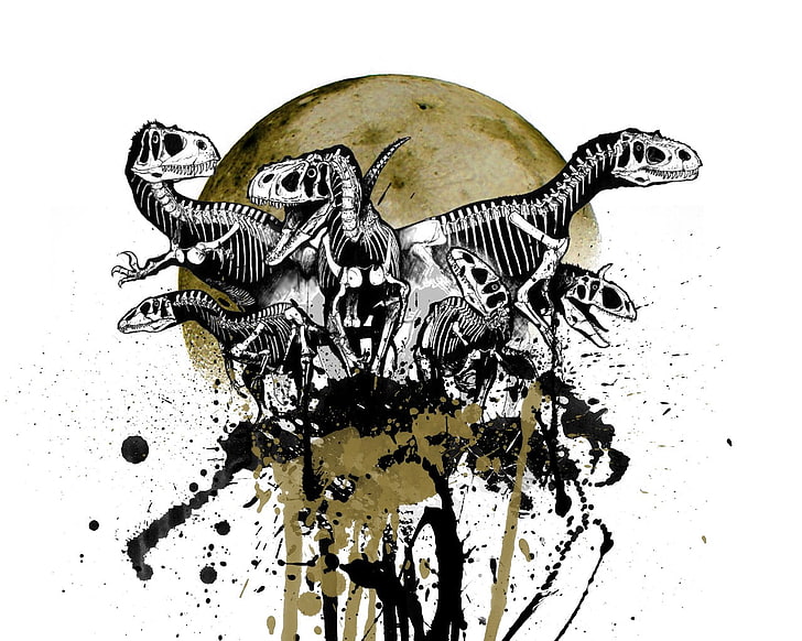 иллюстрация динозавров, череп, динозавры, скелет, луна, HD обои