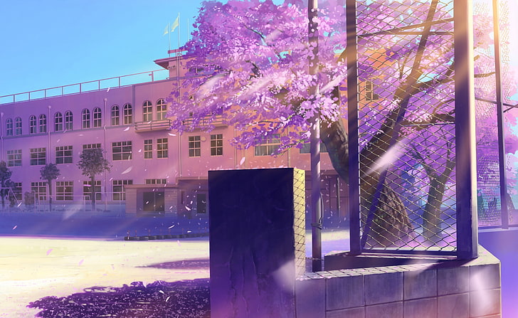 ساحة المدرسة ، شجرة مرققة باللون الأرجواني بالقرب من خلفية رقمية سياج معدني ، فنية ، أنيمي ، ساحة المدرسة، خلفية HD