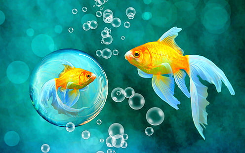 blue, bokeh, bubbles, fish, fishes, gold, goldfish, sea, underwater, water, HD wallpaper HD wallpaper