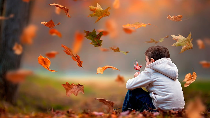 men's gray hoodie, selective focus photo of boy wearing white hoodie sitting on ground with maple leaves, children, leaves, fall, sitting, windy, HD wallpaper