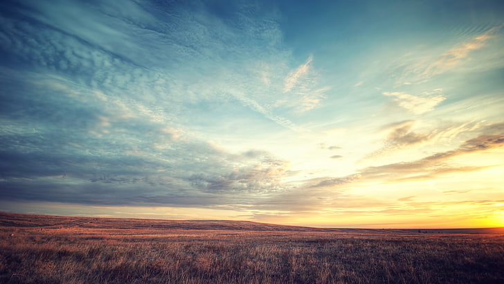 grüne Rasenfläche, niedrige Altocumuluswolken während des Sonnenaufgangs, Landschaft, Natur, Feld, Fall, Sonnenuntergang, Dämmerung, HD-Hintergrundbild