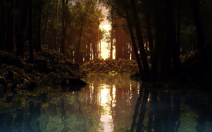 Natur, Sumpf, Bäume, Wasser, HD-Hintergrundbild