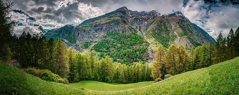 昼間の時間、ツェルマット、スイス、ツェルマット、スイス、ツェルマット、リート、スイス、ハイキング、パノラマ写真、緑の葉、緑の丘、日、時間、アルプス、登山、雪崩、カントン、教会の間に緑の丘の近くの木の写真、登山、雲、ヨーロッパ、氷河、草緑、丘、Hörnli_Ridge、風景、マッターホルン、山、Monte_Cervino、自然、屋外、パノラマ、レクリエーション、リッジ、ロッキー、風光明媚な、空、サミット、雪、スイス、旅行、木、バレー、ビュー、ウォリス、森、屋外、夏、風景、木、ヨーロッパアルプス、草原、草、緑色、山のピーク、自然の美しさ、 HDデスクトップの壁紙 HD wallpaper