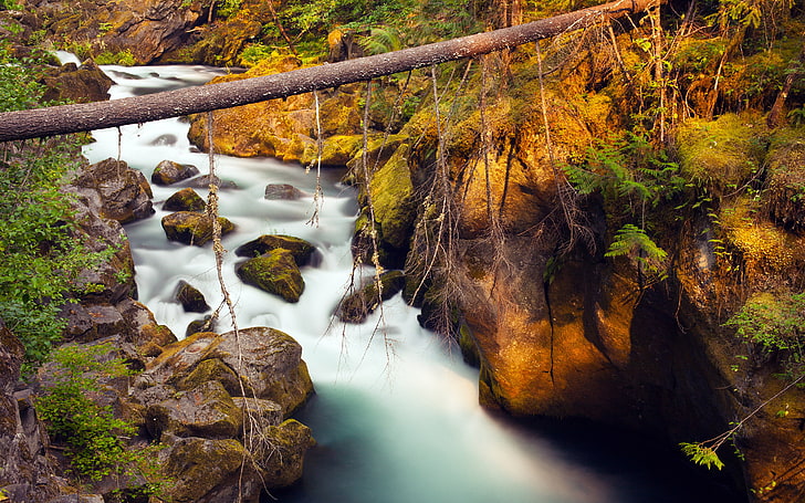 Mountain River Riverbed With Rocks And Boulders, Fallen Pine Tree Desktop Wallpaper Hd 2880 × 1800, Fond d'écran HD