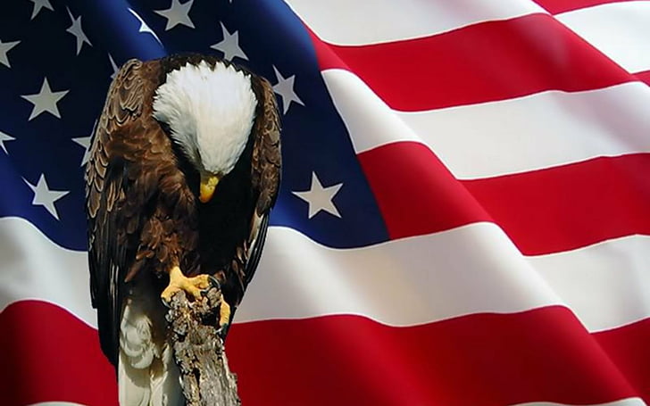 Holiday, Memorial Day, American Flag, Bald Eagle, Eagle, HD wallpaper