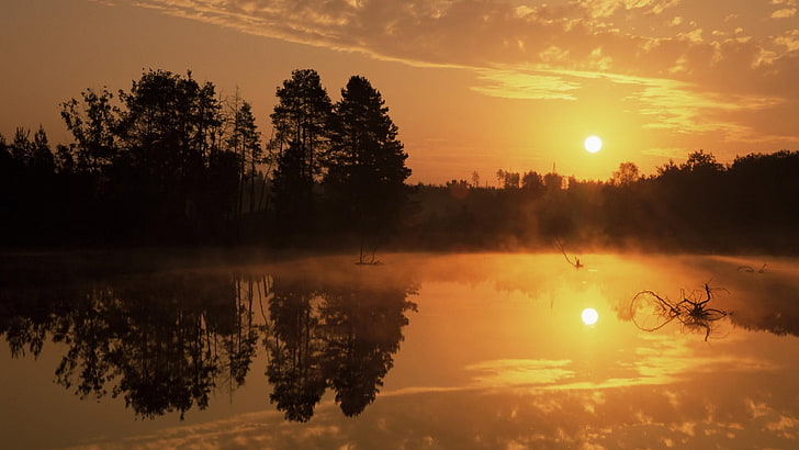 silhouette d'arbres près de la masse d'eau, coucher de soleil, paysage, Fond d'écran HD