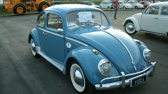 1962, beetle, brazilian, bug, classic, fusca, retro, volkswagen, HD wallpaper HD wallpaper