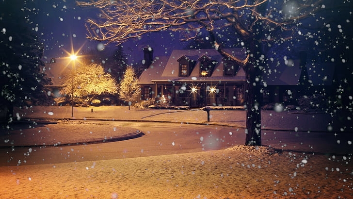 snowfall, night, snow, winter, light, streetlight, evening, sky, house, tree, town, freezing, street light, street, snowing, snowy, HD wallpaper