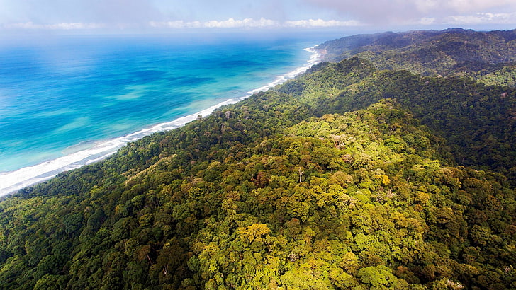 fotografia aerea dell'isola verde, natura, paesaggio, veduta aerea, spiaggia, mare, nuvole, foresta, giungla, Costa Rica, colline, Sfondo HD