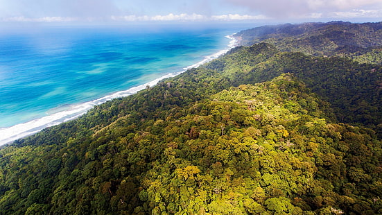 foto udara pulau hijau, alam, lanskap, pemandangan udara, pantai, laut, awan, hutan, hutan, Kosta Rika, bukit, Wallpaper HD HD wallpaper