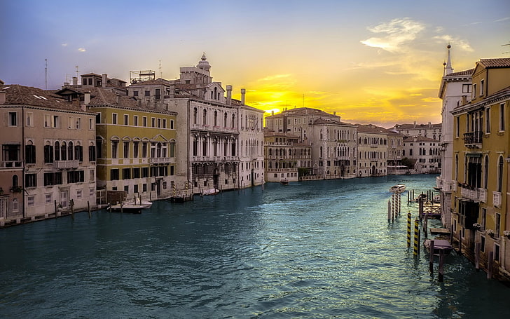 edificios de hormigón gris, naturaleza, Venecia, agua, Fondo de pantalla HD