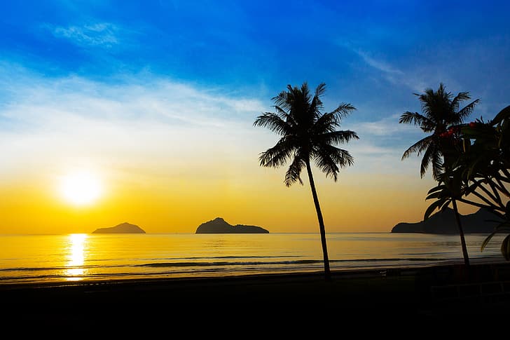 sea, beach, summer, sunset, palm trees, shore, silhouette, seascape, beautiful, paradise, palms, tropical, HD wallpaper