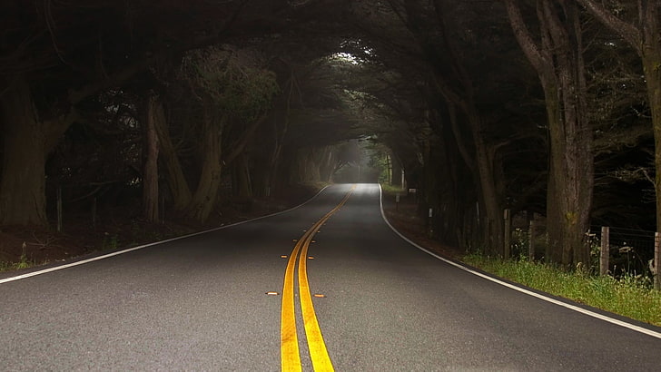 forest roads 1920x1080  Nature Forests HD Art , forest, roads, HD wallpaper