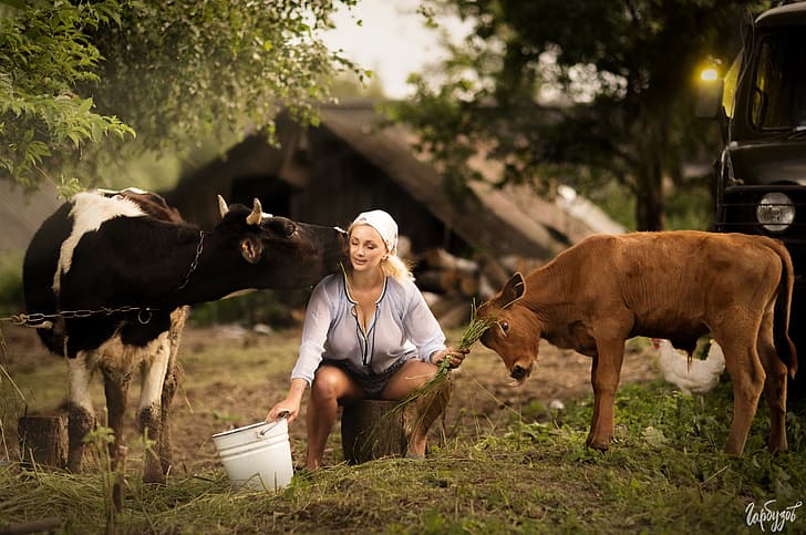 girl, pose, cow, blonde, bucket, calf, milkmaid, Ilya Garbuzov, HD wallpaper