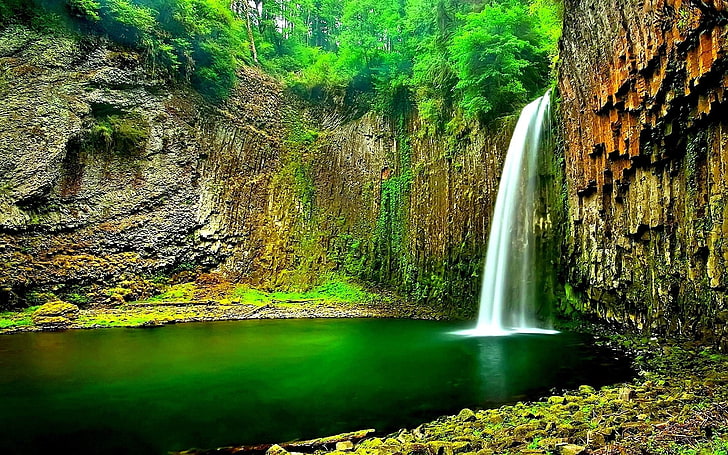 Forest Waterfall-HD Desktop Wallpaper, waterfalls, HD wallpaper