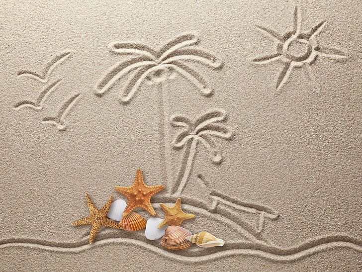 brown and white seashell lot, sand, figure, texture, drawing, starfish, seashells, HD wallpaper