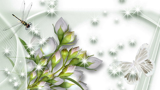 Belos brancos, persona do firefox, flores, estrelas, botões, flores, borboleta, seda, libélula, sombras, 3d e abst, HD papel de parede HD wallpaper