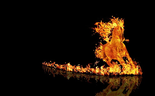 fondo de pantalla digital caballo de fuego, caballo, fuego, render, minimalismo, arte fantasía, animales, fondo negro, reflexión, Fondo de pantalla HD HD wallpaper