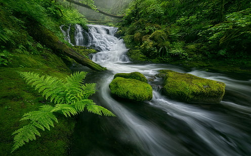 Красиви каскади водопад поток гора зелени мъх скали папрат отпуснати дървета HD тапет за мобилни телефони с Android 3840 × 2400, HD тапет HD wallpaper