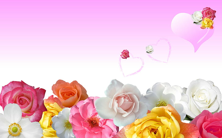 Roses & Love Hearts, love, roses, hearts, HD wallpaper