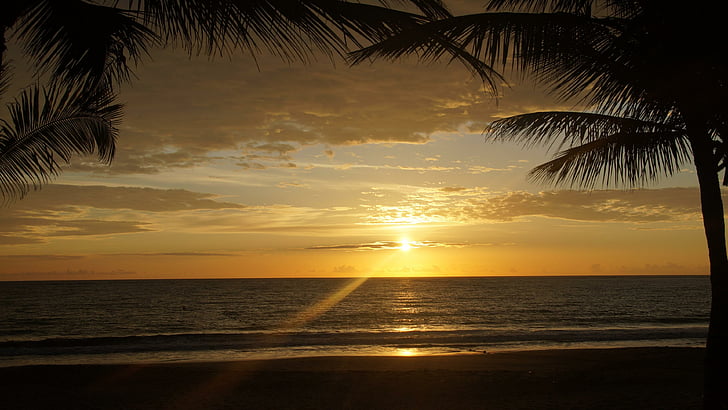 Доминиканска република, изгрев, палмово дърво, палми, лято, екзотика, тропически, хоризонт, небе, HD тапет
