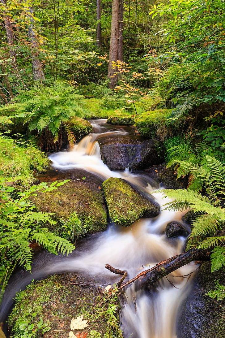 water flowing in river, Babbling, water, river, 35mm, 4L, Canon 6D, Landscape, Peak District, Sheffield, autumn, flora, foliage, gorge, green  plants, rocks, stream, trees, trip, vacation, blur, waterfall, wide angle, wyming brook, England, United Kingdom, GB, nature, forest, tree, tropical Rainforest, freshness, outdoors, scenics, leaf, beauty In Nature, green Color, HD wallpaper