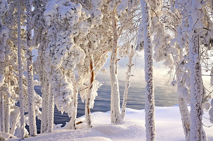 frost, snow, Siberia, HD wallpaper