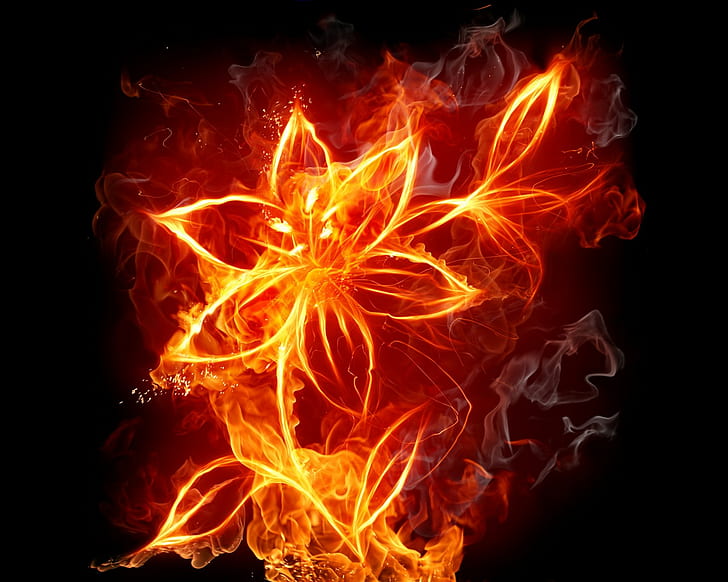 kwiaty, ogień, Flame Painter, sztuka cyfrowa, malarstwo cyfrowe, Tapety HD