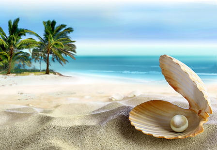 pearl in shell painting, sand, sea, beach, the sun, tropics, the ocean, shell, summer, ocean, coast, blue, paradise, seashell, pearl, tropical, palm, emerald, perl, HD wallpaper HD wallpaper