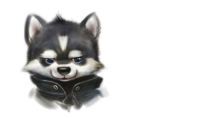 Ilustración de perro blanco y negro, perro, piercing, chaqueta, cachorro, animal, Husky, fondo de pantalla blanco, Fondo de pantalla HD