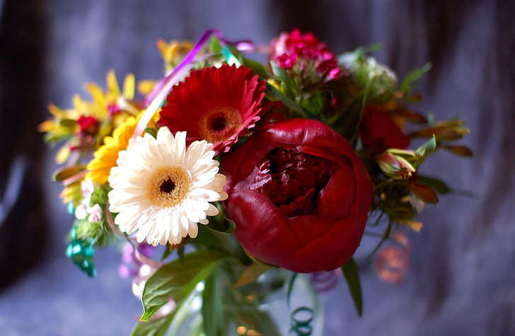 flores vermelhas e brancas, gerbera, peônia, broto, flor, buquê, decoração, HD papel de parede