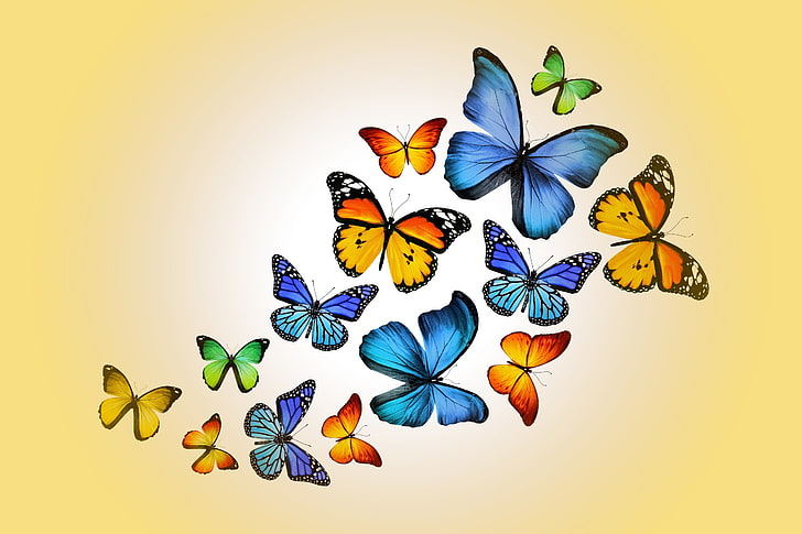 assorted-color butterflies illustration, butterfly, colorful, yellow, butterflies, design by Marika, HD wallpaper
