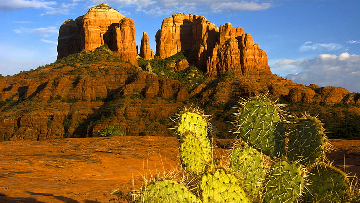 vegetation, rock, wilderness, cathedral rock, landmark, sky, mountain, badlands, formation, cactus, cacti, landscape, sandstone, prickly pear, HD wallpaper
