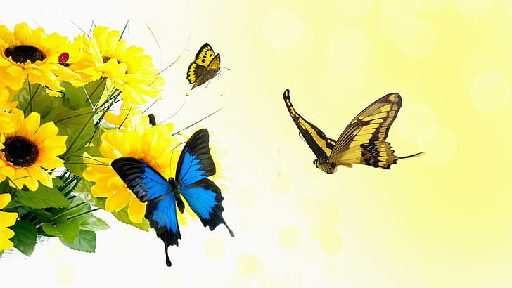 27834 Butterfly Sunflower Images Stock Photos  Vectors  Shutterstock