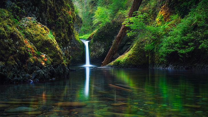 water, nature, green, vegetation, waterfall, oregon, columbia river gorge, united states, reflection, columbia river, forest, river, tree, punch bowl falls, HD wallpaper