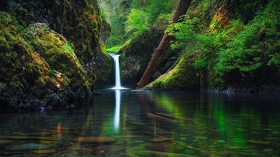 vatten, natur, grön, vegetation, vattenfall, Oregon, Columbia River Gorge, USA, reflektion, Columbia River, skog, flod, träd, punch skålfall, HD tapet HD wallpaper