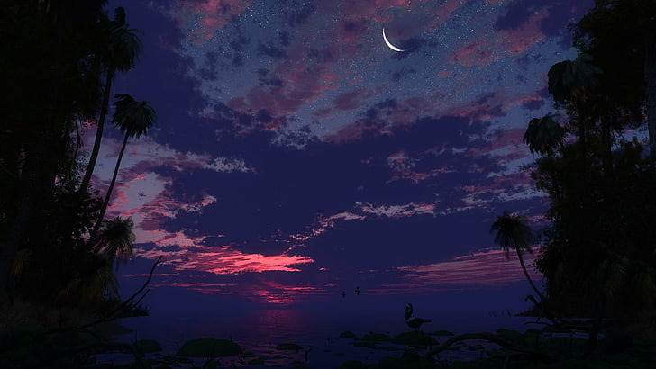 palm tree, night, stars, clouds, moon, evening, birds, water, sea, ocean, coconut tree, HD wallpaper