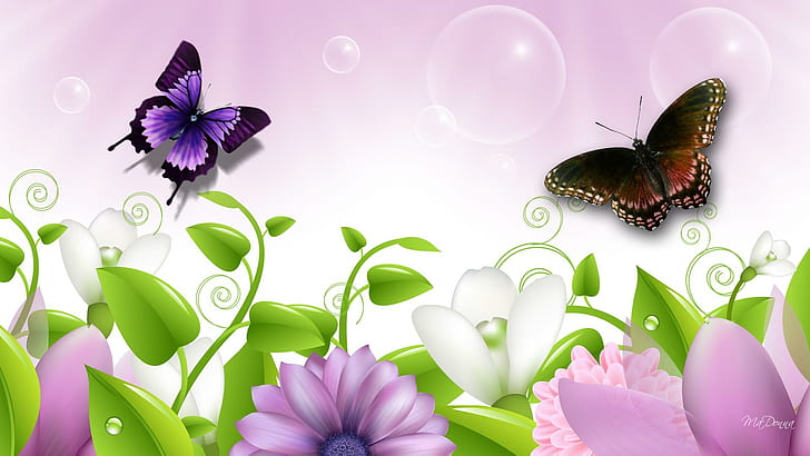 Цветок лаванды Лето, пурпурно-черные и зелено-желто-коричневые бабочки, подснежник, листья, яркие, тюльпаны, лаванда, цветы, весна, шаста, пурпур, лето, бабочки, HD обои